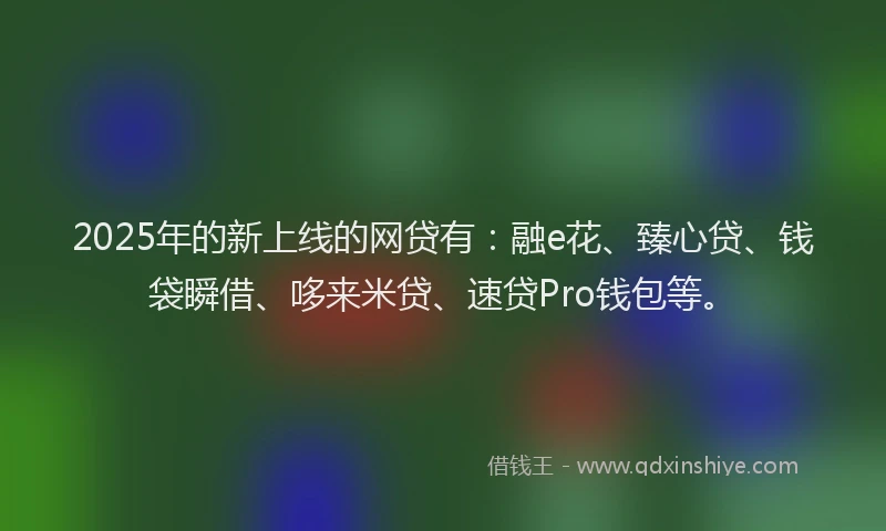 2025年的新上线的网贷有：融e花、臻心贷、钱袋瞬借、哆来米贷、速贷Pro钱包等。