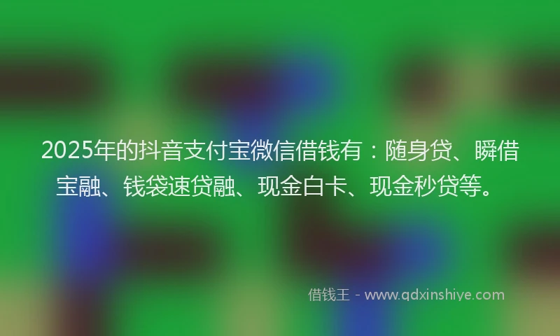 2025年的抖音支付宝微信借钱有：随身贷、瞬借宝融、钱袋速贷融、现金白卡、现金秒贷等。