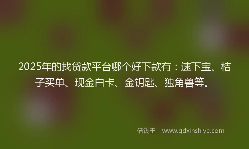 2025年的找贷款平台哪个好下款有：速下宝、桔子买单、现金白卡、金钥匙、独角兽等。