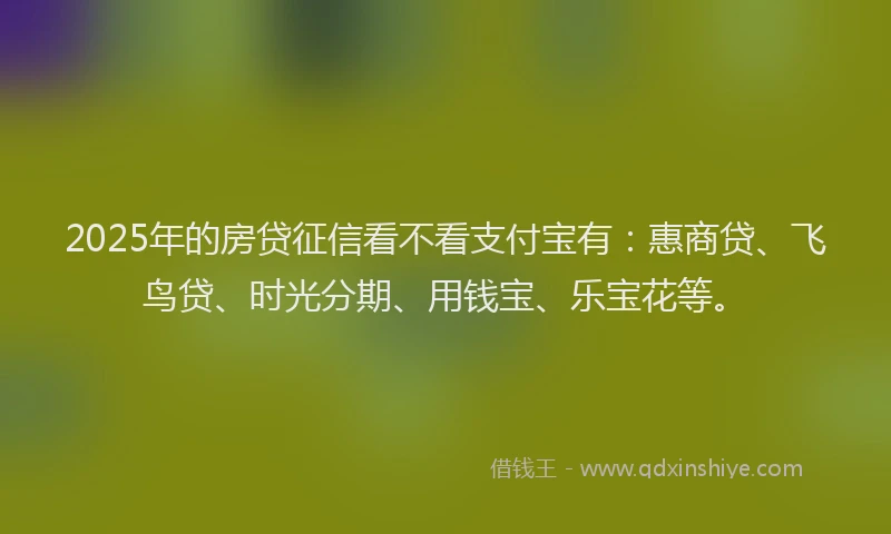 2025年的房贷征信看不看支付宝有：惠商贷、飞鸟贷、时光分期、用钱宝、乐宝花等。