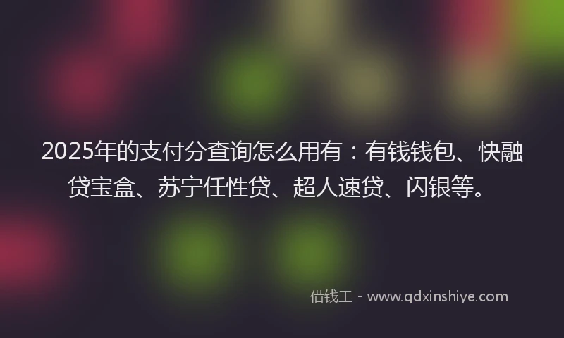 2025年的支付分查询怎么用有：有钱钱包、快融贷宝盒、苏宁任性贷、超人速贷、闪银等。