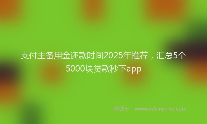 支付主备用金还款时间2025年推荐，汇总5个5000块贷款秒下app