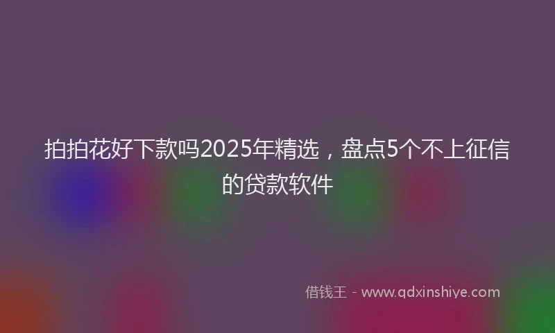 拍拍花好下款吗2025年精选，盘点5个不上征信的贷款软件