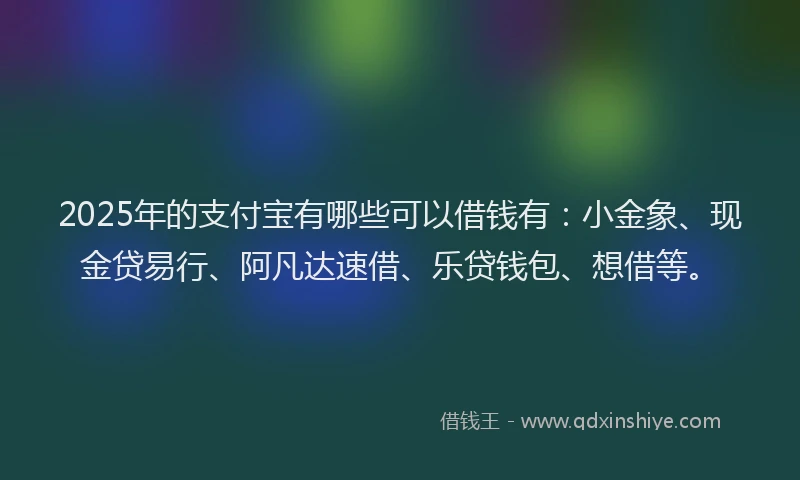 2025年的支付宝有哪些可以借钱有：小金象、现金贷易行、阿凡达速借、乐贷钱包、想借等。