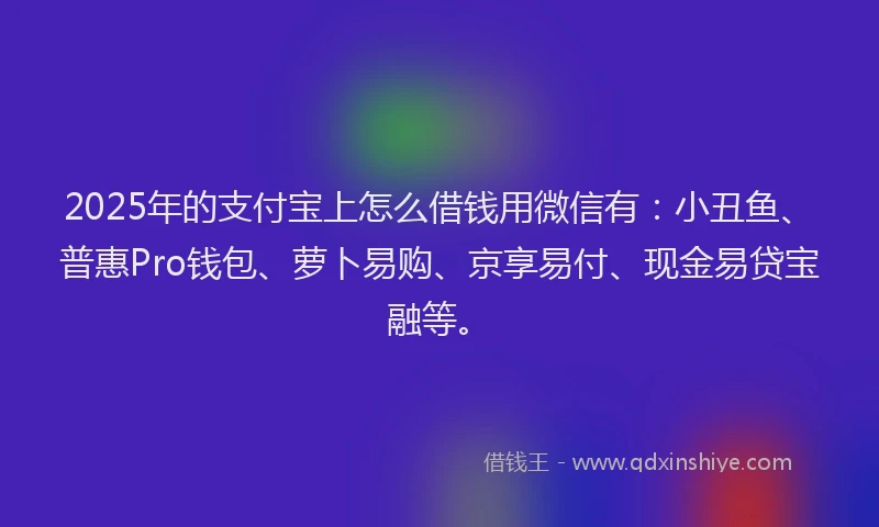 2025年的支付宝上怎么借钱用微信有：小丑鱼、普惠Pro钱包、萝卜易购、京享易付、现金易贷宝融等。