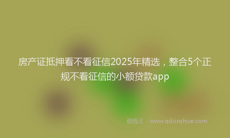 房产证抵押看不看征信2025年精选，整合5个正规不看征信的小额贷款app