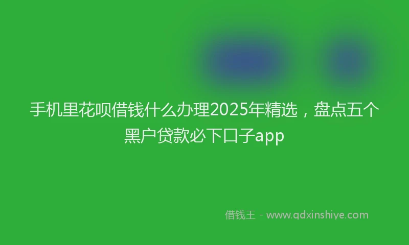 手机里花呗借钱什么办理2025年精选，盘点五个黑户贷款必下口子app
