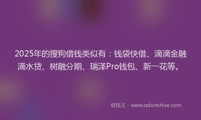 2025年的搜狗借钱类似有：钱袋快借、滴滴金融滴水贷、树融分期、瑞泽Pro钱包、新一花等。