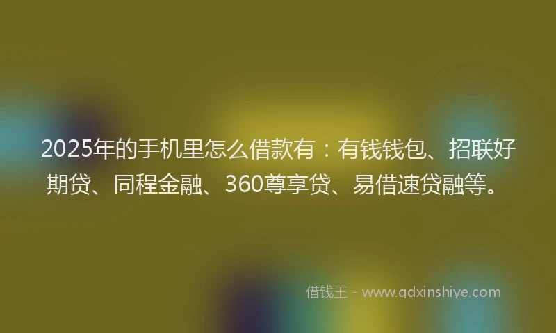 2025年的手机里怎么借款有:有钱钱包、招联好期贷、同程金融、360尊享贷、易借速贷融等。