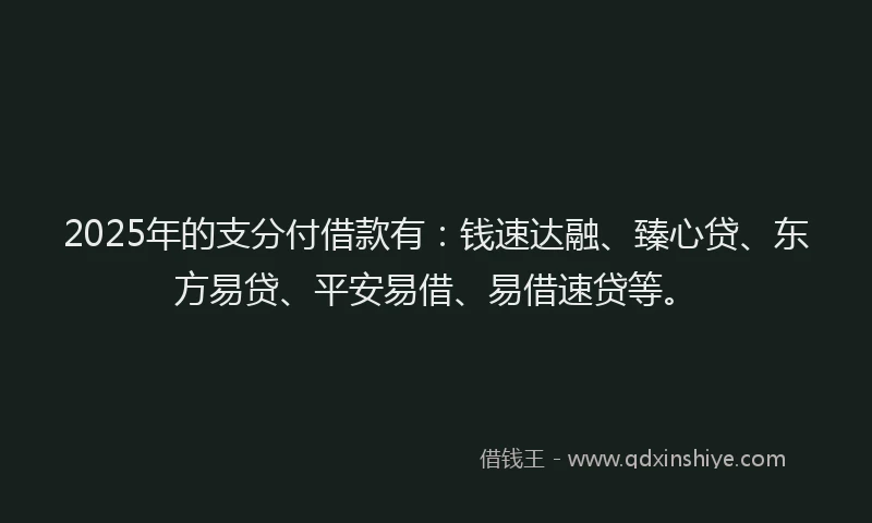 2025年的支分付借款有：钱速达融、臻心贷、东方易贷、平安易借、易借速贷等。