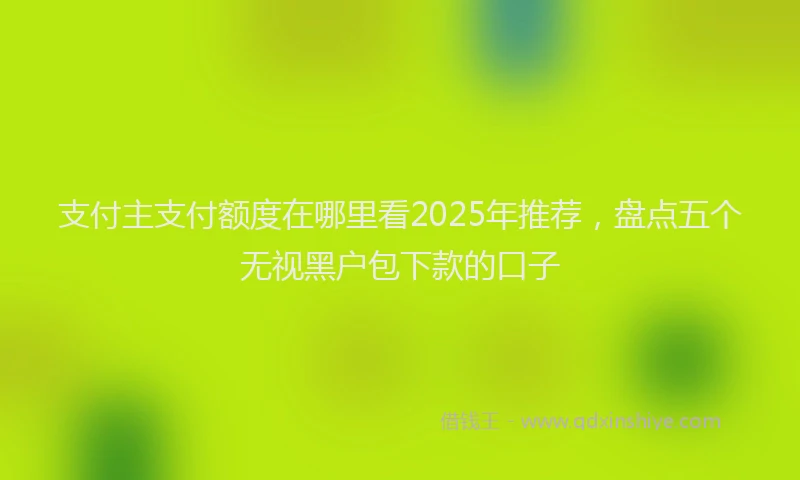 支付主支付额度在哪里看2025年推荐，盘点五个无视黑户包下款的口子