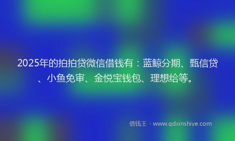 2025年的拍拍贷微信借钱有：蓝鲸分期、甄信贷、小鱼免审、金悦宝钱包、理想给等。