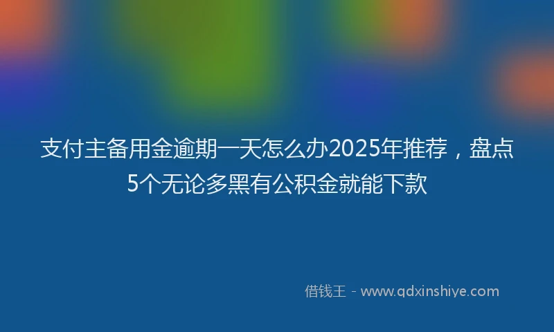 支付主备用金逾期一天怎么办2025年推荐，盘点5个无论多黑有公积金就能下款