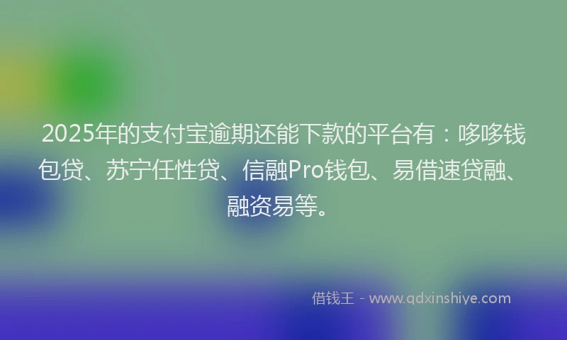 2025年的支付宝逾期还能下款的平台有：哆哆钱包贷、苏宁任性贷、信融Pro钱包、易借速贷融、融资易等。