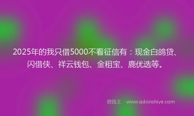 2025年的我只借5000不看征信有：现金白鸽贷、闪借侠、祥云钱包、金租宝、鹿优选等。