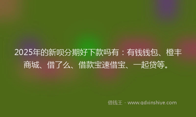 2025年的新呗分期好下款吗有：有钱钱包、橙丰商城、借了么、借款宝速借宝、一起贷等。