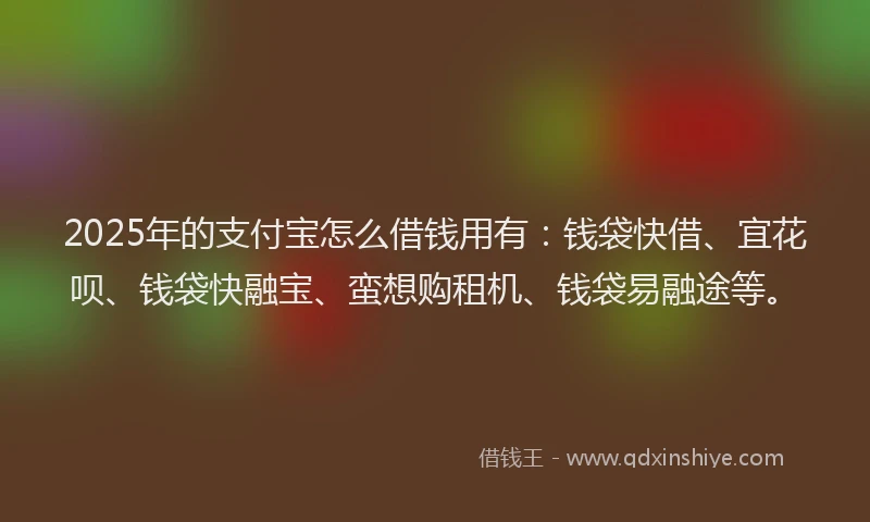 2025年的支付宝怎么借钱用有：钱袋快借、宜花呗、钱袋快融宝、蛮想购租机、钱袋易融途等。