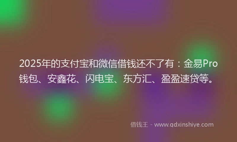 2025年的支付宝和微信借钱还不了有：金易Pro钱包、安鑫花、闪电宝、东方汇、盈盈速贷等。