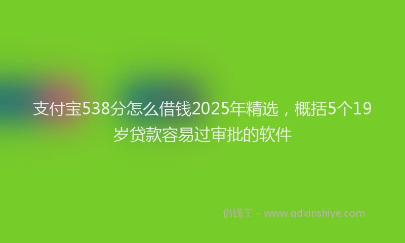 支付宝538分怎么借钱2025年精选，概括5个19岁贷款容易过审批的软件
