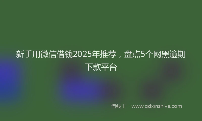 新手用微信借钱2025年推荐，盘点5个网黑逾期下款平台