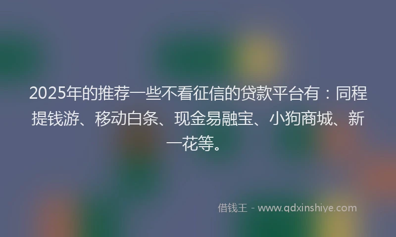 2025年的推荐一些不看征信的贷款平台有：同程提钱游、移动白条、现金易融宝、小狗商城、新一花等。