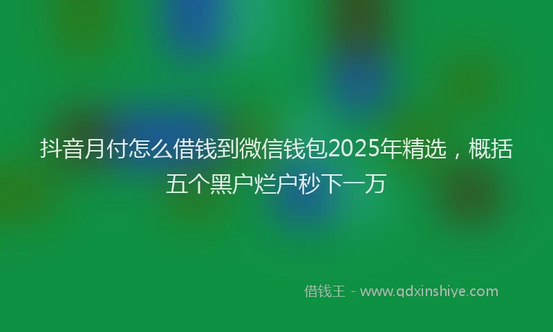抖音月付怎么借钱到微信钱包2025年精选，概括五个黑户烂户秒下一万