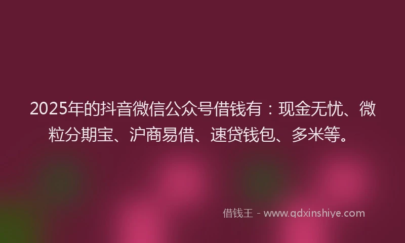 2025年的抖音微信公众号借钱有：现金无忧、微粒分期宝、沪商易借、速贷钱包、多米等。