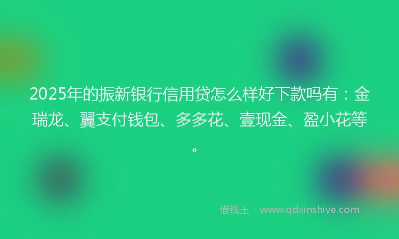 2025年的振新银行信用贷怎么样好下款吗有：金瑞龙、翼支付钱包、多多花、壹现金、盈小花等。