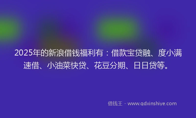 2025年的新浪借钱福利有：借款宝贷融、度小满速借、小油菜快贷、花豆分期、日日贷等。