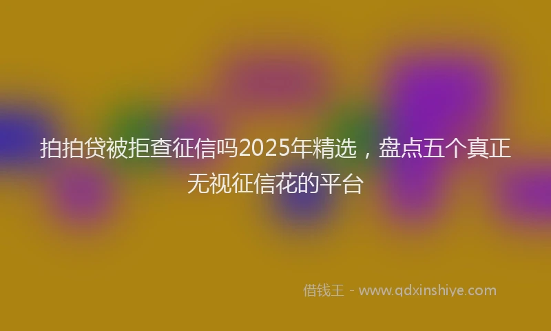 拍拍贷被拒查征信吗2025年精选，盘点五个真正无视征信花的平台
