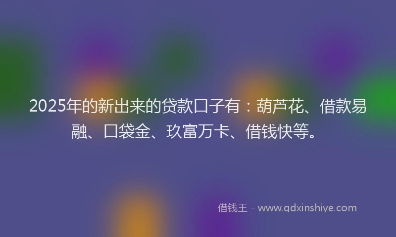 2025年的新出来的贷款口子有：葫芦花、借款易融、口袋金、玖富万卡、借钱快等。