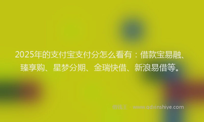 2025年的支付宝支付分怎么看有：借款宝易融、臻享购、星梦分期、金瑞快借、新浪易借等。