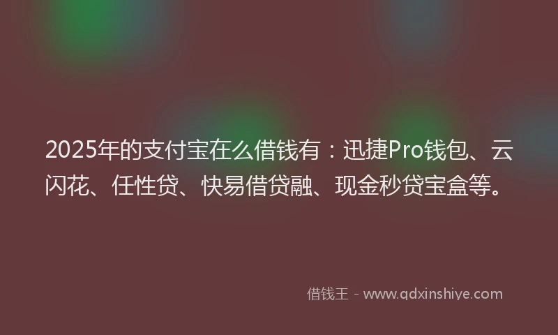 2025年的支付宝在么借钱有：迅捷Pro钱包、云闪花、任性贷、快易借贷融、现金秒贷宝盒等。