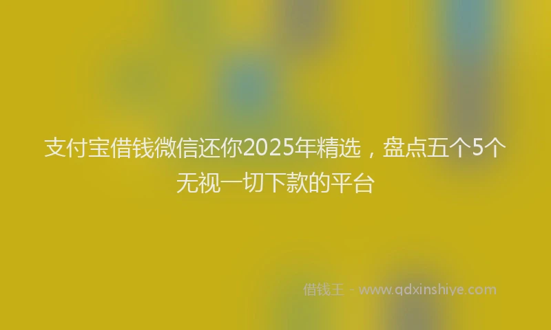 支付宝借钱微信还你2025年精选，盘点五个5个无视一切下款的平台