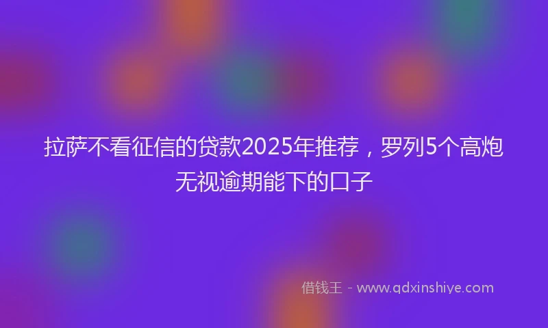 拉萨不看征信的贷款2025年推荐，罗列5个高炮无视逾期能下的口子