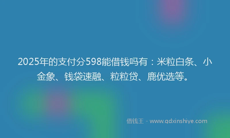 2025年的支付分598能借钱吗有：米粒白条、小金象、钱袋速融、粒粒贷、鹿优选等。