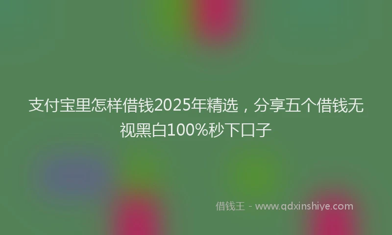 支付宝里怎样借钱2025年精选，分享五个借钱无视黑白100%秒下口子