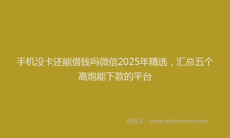 手机没卡还能借钱吗微信2025年精选，汇总五个高炮能下款的平台