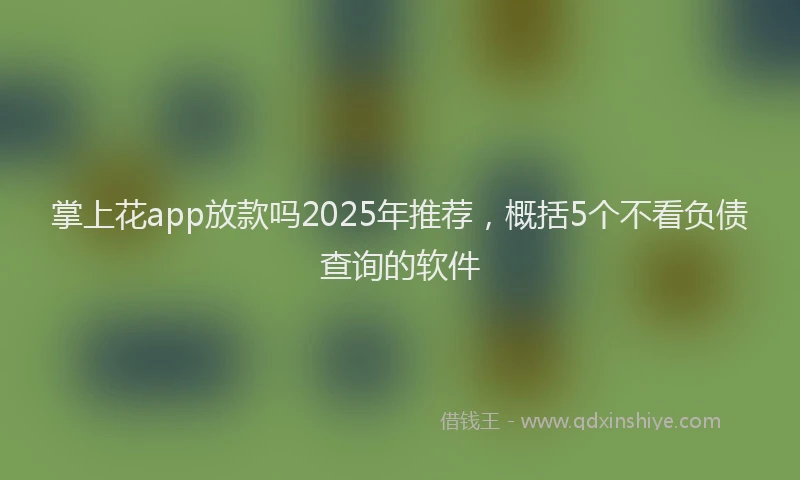 掌上花app放款吗2025年推荐，概括5个不看负债查询的软件