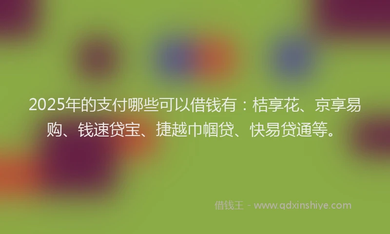 2025年的支付哪些可以借钱有：桔享花、京享易购、钱速贷宝、捷越巾帼贷、快易贷通等。