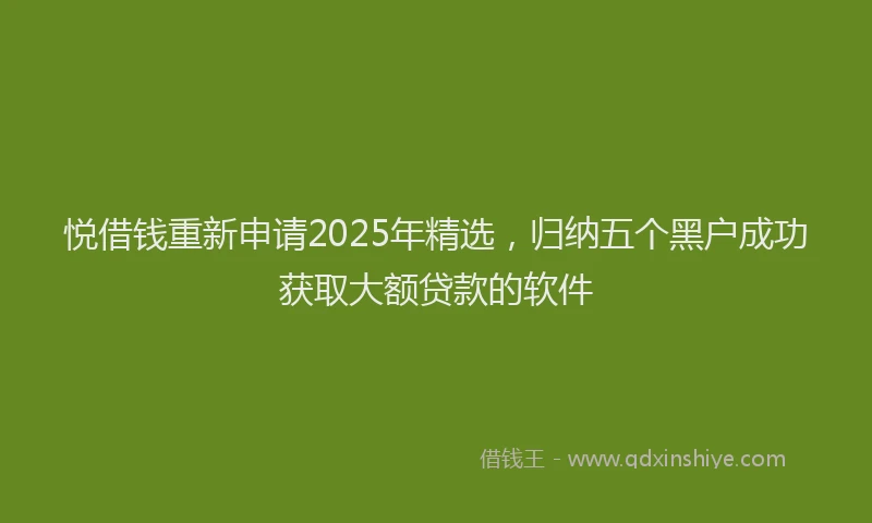 悦借钱重新申请2025年精选，归纳五个黑户成功获取大额贷款的软件