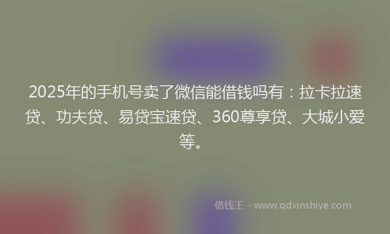 2025年的手机号卖了微信能借钱吗有：拉卡拉速贷、功夫贷、易贷宝速贷、360尊享贷、大城小爱等。