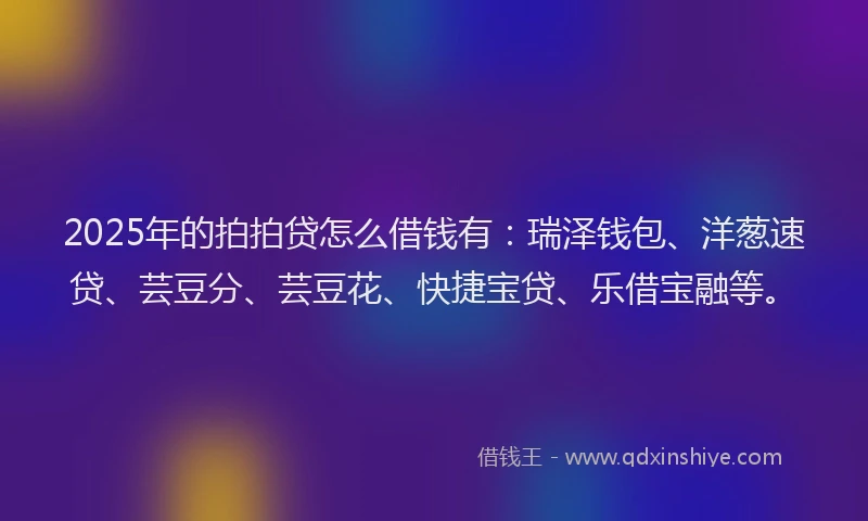 2025年的拍拍贷怎么借钱有：瑞泽钱包、洋葱速贷、芸豆分、芸豆花、快捷宝贷、乐借宝融等。