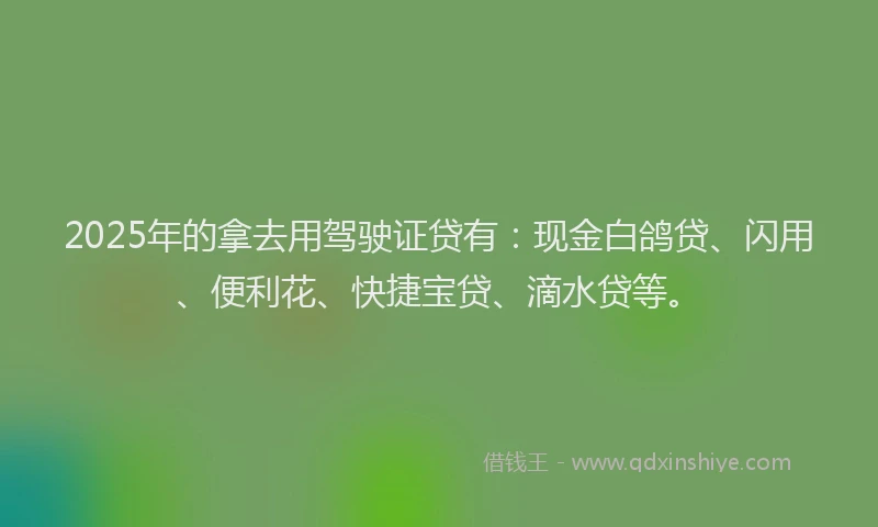 2025年的拿去用驾驶证贷有：现金白鸽贷、闪用、便利花、快捷宝贷、滴水贷等。
