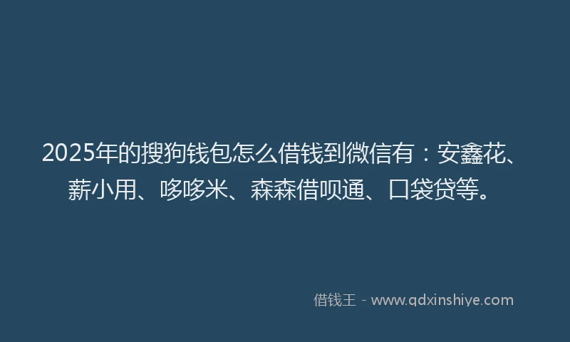 2025年的搜狗钱包怎么借钱到微信有：安鑫花、薪小用、哆哆米、森森借呗通、口袋贷等。