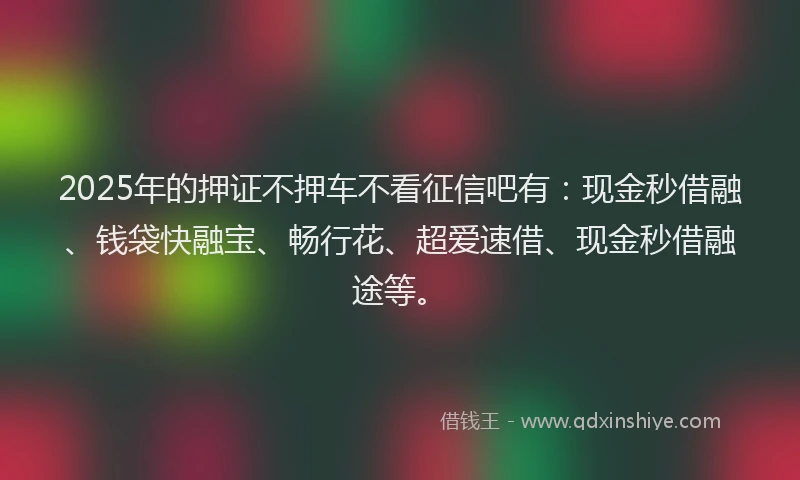 2025年的押证不押车不看征信吧有：现金秒借融、钱袋快融宝、畅行花、超爱速借、现金秒借融途等。