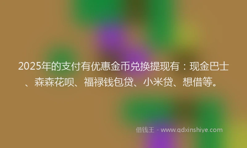 2025年的支付有优惠金币兑换提现有：现金巴士、森森花呗、福禄钱包贷、小米贷、想借等。