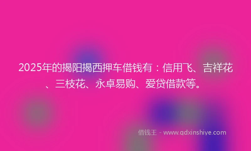 2025年的揭阳揭西押车借钱有：信用飞、吉祥花、三枝花、永卓易购、爱贷借款等。