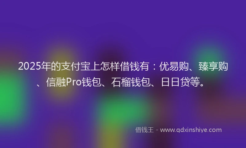 2025年的支付宝上怎样借钱有：优易购、臻享购、信融Pro钱包、石榴钱包、日日贷等。
