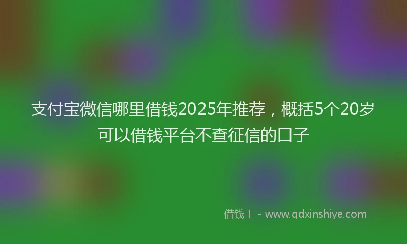 支付宝微信哪里借钱2025年推荐，概括5个20岁可以借钱平台不查征信的口子